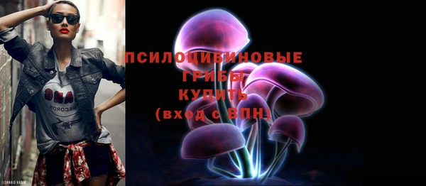 spice Абаза