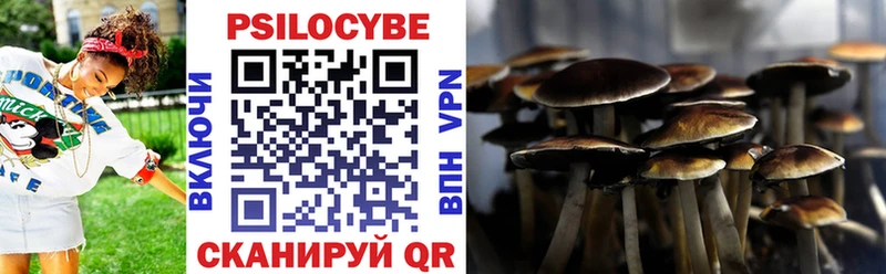 Галлюциногенные грибы MAGIC MUSHROOMS  Абакан 