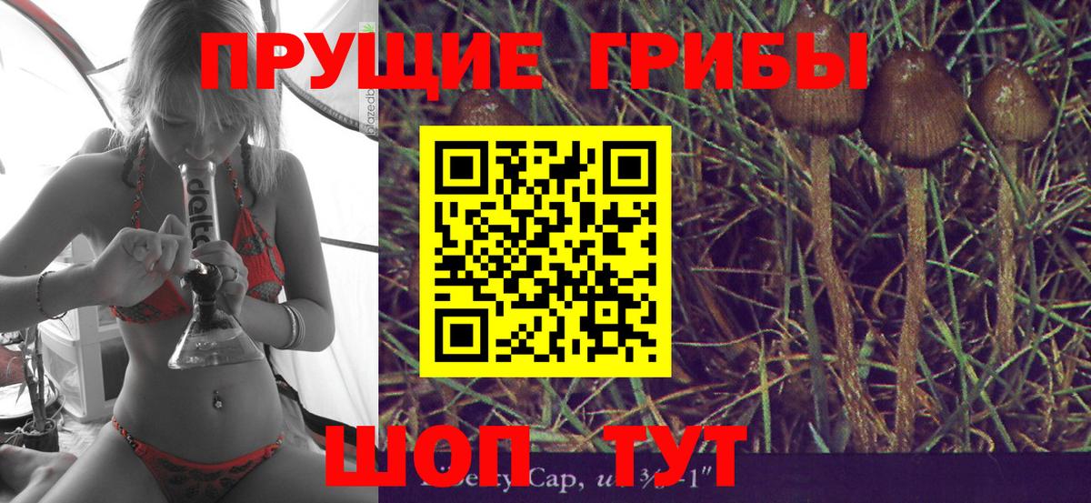 Псилоцибиновые грибы Psilocybe  Вход с VPN  Абакан  Псилоцибиновые грибы мухоморы 